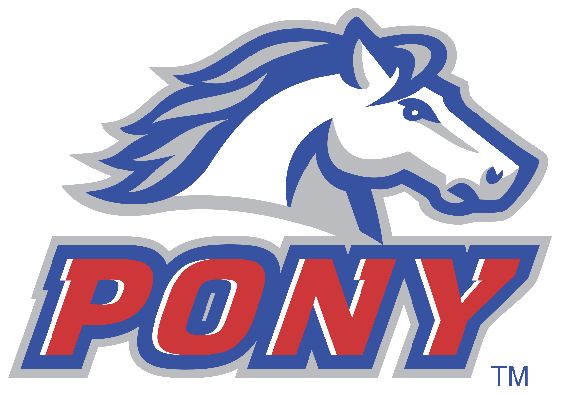 Pony League Umpire